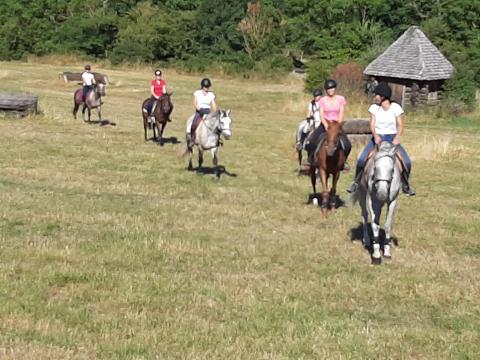 Week-end adultes à Rodez