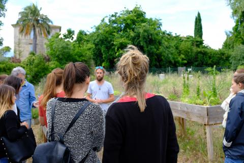 Sortie de notre réseau d'échanges sur l'écologie @écolotude à l'Oasis Citadine