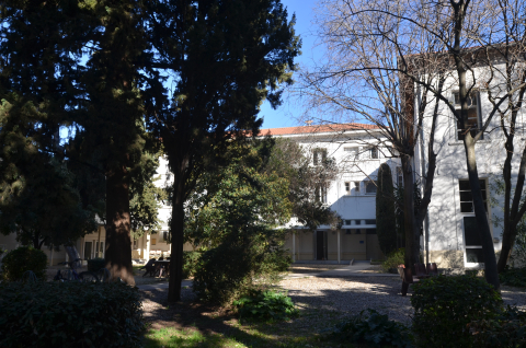 Jardins de la Faculté