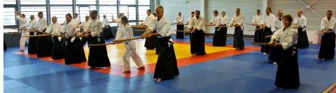 Seul dojo de Montpellier à proposer un enseignement réalisé par un professeur travaillant depuis ses débuts en direct avec un 8ème Dan Japonais, Maître Takeji Tomita qui fut élève du fondateur (O’Sensei Ueshiba) et le seul et unique Ushideshi de Maître Saito. 160 m2 de tatamis aménagés dans un volume spacieux, propice à la pratique.