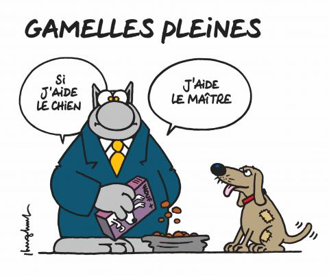 Si j'aide le chien, j'aide le maître...Notre devise