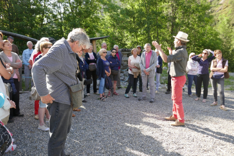 Sorties culturelles, vitres d'expos, de Musée