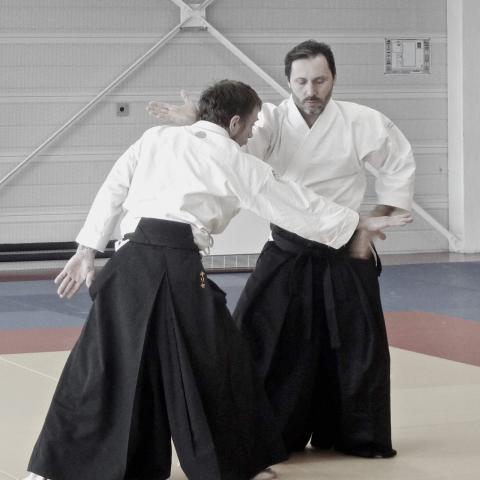 Nous proposons une une surface de 160 m2 de tatamis aménagés dans un volume spacieux, propice à la pratique de l’Aiki-jutsu et des armes (Bokken, Jo, Tanto).