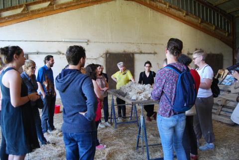 Visite d'une ferme produisant du mohair