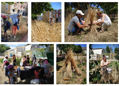 Des images d'activités au jardin dans le cadre du projet Boz'Arbres, esplanade de la musique