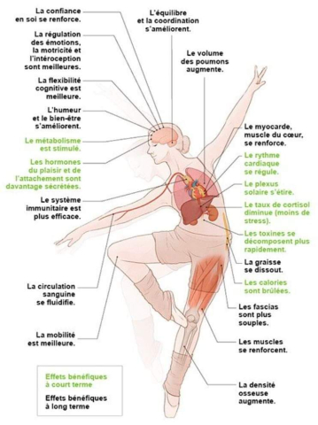 les bienfaits de l'activité physique