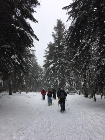 sortie raquettes à l'Aigoual