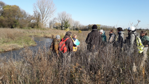 Visite terrain autour de la renaturalisation d'un cours d'eau