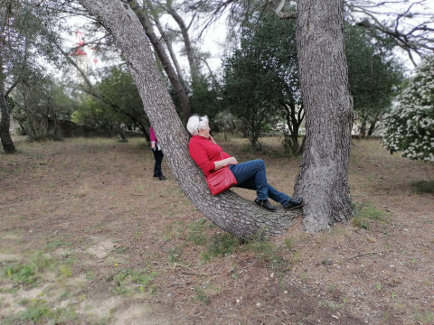 Balade-atelier parmi les arbres pour déconnecter de l'ambiance urbaine