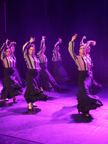 Flamenco - Tangos de Malaga