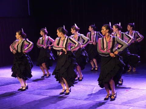 Flamenco - Tangos de Malaga