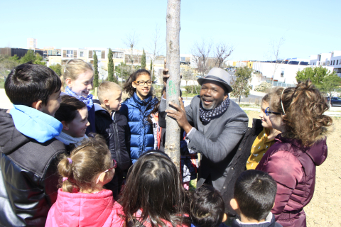 Plantation d'Arbres à Montpellier 