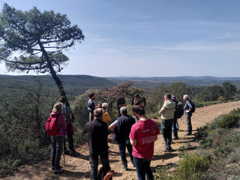 Sortie forêt