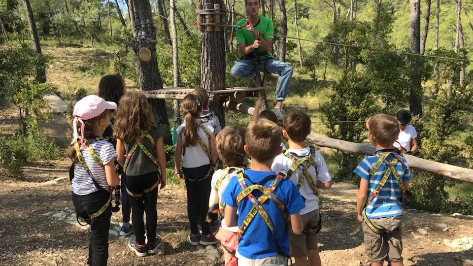 sortie accro branche