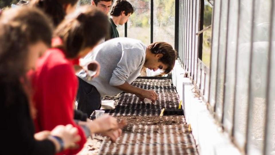 Ecovolontariat à Lisbonne, Agriculture solidaire et insertion des personnes handicapés