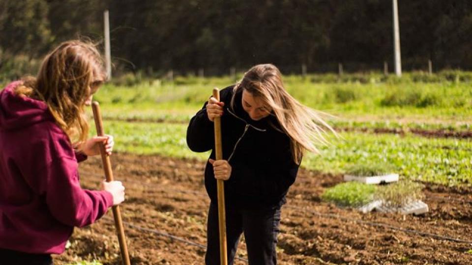 Ecovolontariat à Lisbonne, Agriculture solidaire et insertion des personnes handicapés