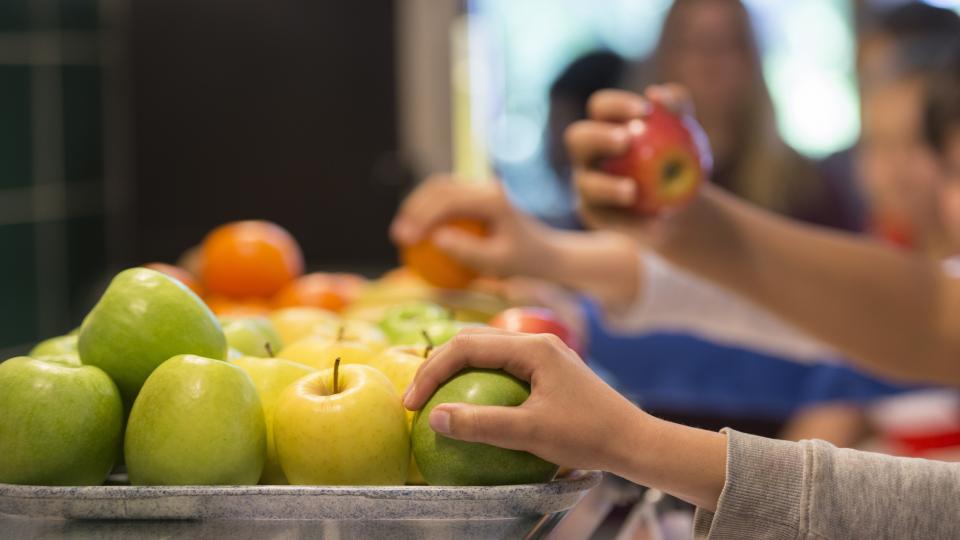 Cantines dans les collèges: Du bon, du local et du participatif