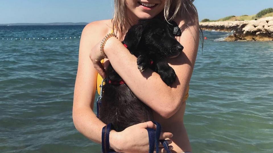 Ecovolontariat à Split, Protection Animale dans un refuge pour chiens et chats