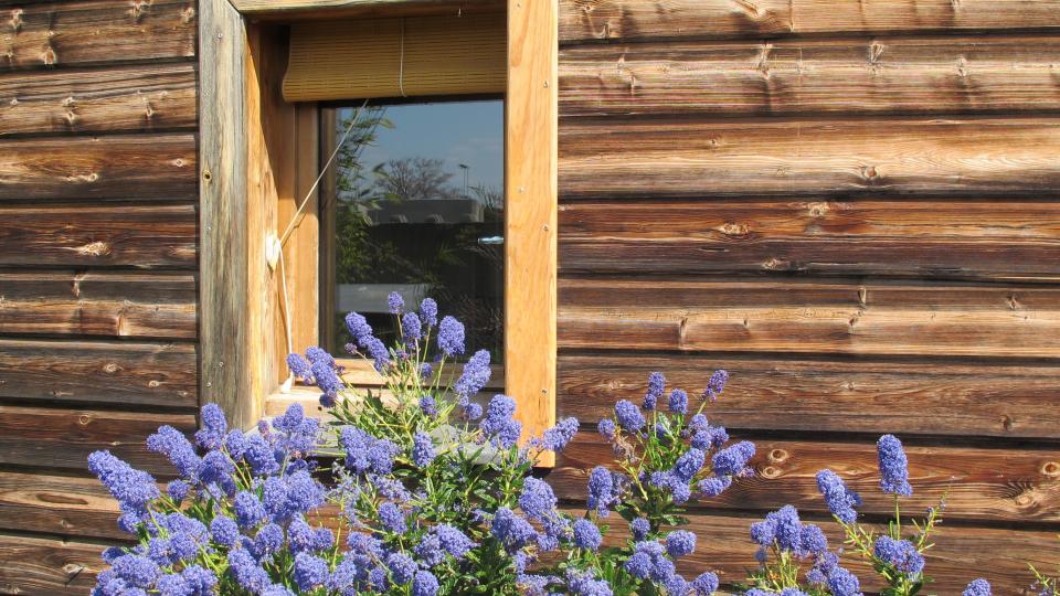 une fenêtre fleurie de chalet