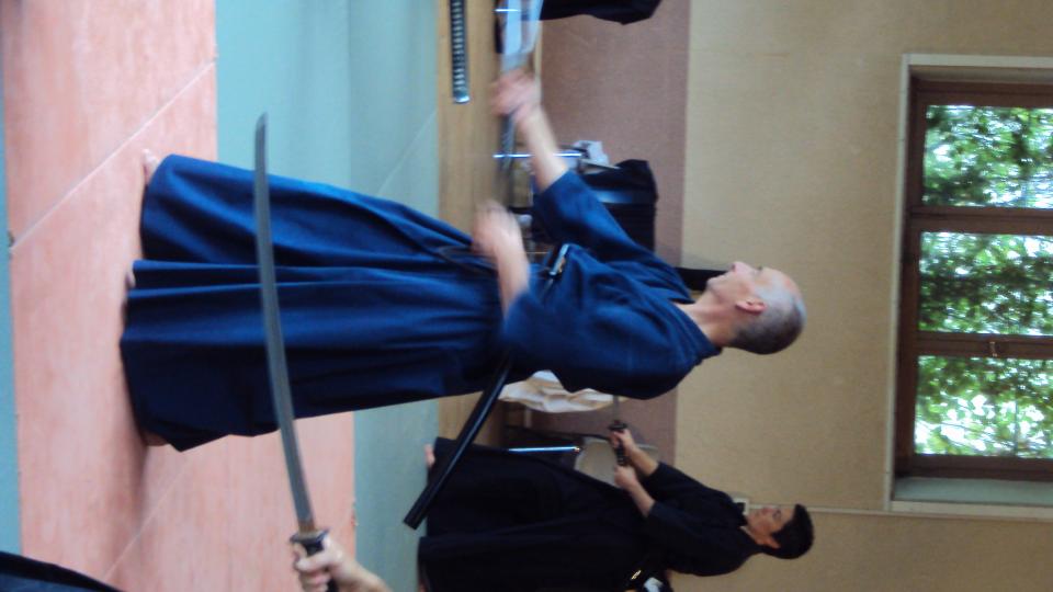 Iaido stage Cévennes