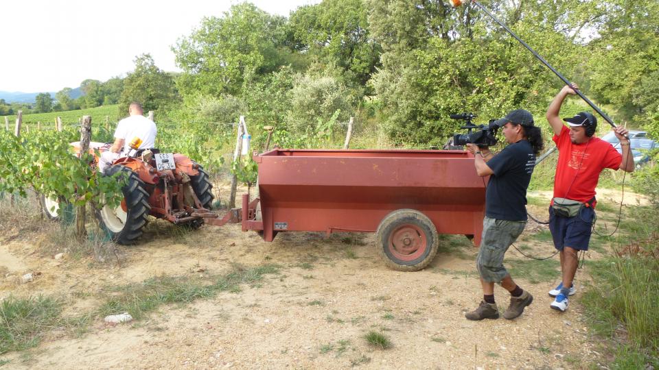 La TV Serrana filme les vendanges à Murles.