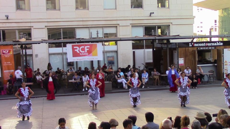 Niveau 1 Danse flamenco