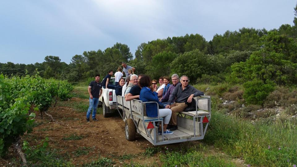 visite des vignes