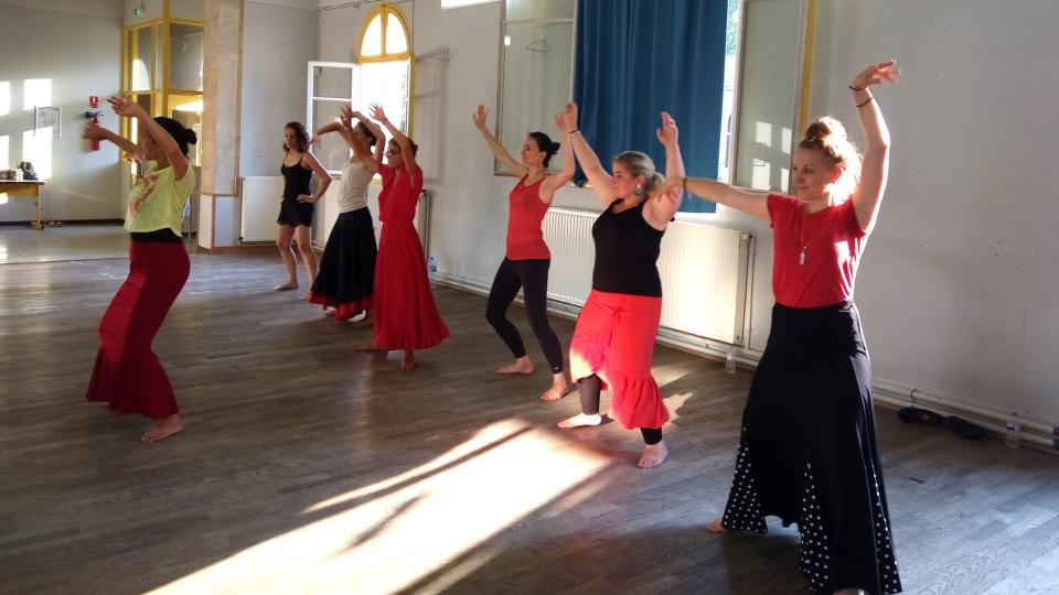 Cours et Stages de Danse, Chant, Guitare, Percussion et Culture Flamenco